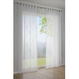 Gardine »Schal Voile mit Flockprint Pusteblume«, (1 St.), mit Schlaufen