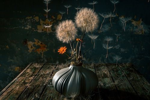 Papermoon Fototapete »Photo-Art FARID KAZAMIL, DIE FALLSCHIRMJÄGER«
