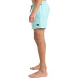 Quiksilver Boardshorts »Everyday Solid 15""«