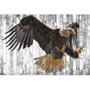 Architects Paper Fototapete »Atelier 47 Polygon Eagle 2«, Holz, Vlies, Wand, Schräge, Decke
