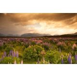 Papermoon Fototapete »GEBIRGE-FLUSS SEE BERGE WALD HIMMEL BACH WIESE BLUMEN«