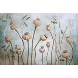 Papermoon Fototapete »Photo-Art MANDY DISHER, MOHN«