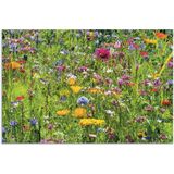 Artland Wandbild »Bunte Blumenwiese«, Blumenwiese, (1 St.), als Alubild, Outdoorbild, Leinwandbild, Poster, Wandaufkleber