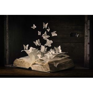 Papermoon Fototapete »Photo-Art HEATHER BONADIO, LEPIDOPTEROLOGIE«