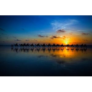 Papermoon Fototapete »Photo-Art LOUISE WOLBERS, SUNSET CAMEL RIDE«