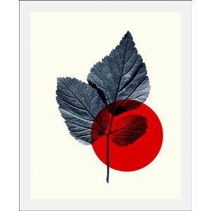 queence Bild »Focus«, Abstrakt-Pflanzen-Pflanzenbilder-Art-Figuren, (1 St.), HD Premium Poster-Druck inkl. Holzrahmen