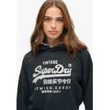 Superdry Kapuzensweatshirt »VL METALLIC RELAXED HOOD«