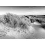 Papermoon Fototapete »Landschaft schwarz & weiß«
