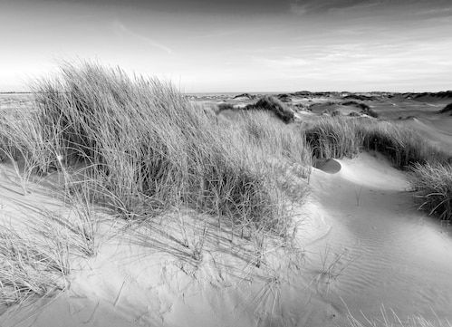 Papermoon Fototapete »Landschaft schwarz & weiß«