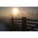 Papermoon Fototapete »Photo-Art Wiese mit Gatter«