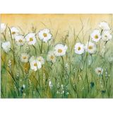 Artland Wandbild »Gänseblümchenfrühling II«, Blumen, (1 St.), als Alubild, Outdoorbild, Leinwandbild, Poster, Wandaufkleber
