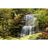 Papermoon Fototapete »WASSERFALL-FLUSS SEE WALD STEINE BLUMEN BERGE BACH XXL«