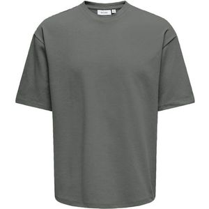 ONLY & SONS Rundhalsshirt »ONSCASPIAN AUT SS TEE«