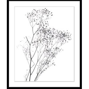 queence Bild »Dana«, Blumen, gerahmt, Blumen