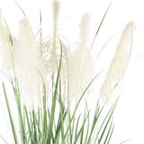 Creativ green Kunstgras »Pampasgras«, mit fünf Pampasgrasblüten