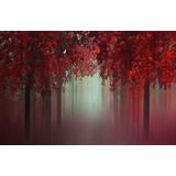 Papermoon Fototapete »Photo-Art ILDIKO NEER, AUS DER LIEBE WALD IN ROT«