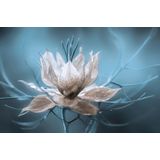 Papermoon Fototapete »Photo-Art MANDY DISHER, NIGELLA, BLUMENBLÜTE TÜRKIS«