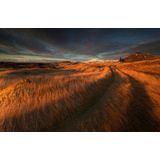 Papermoon Fototapete »Photo-Art RAYMOND HOFFMANN, FELDWEG ZUR KIRCHE«