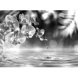 Papermoon Fototapete »Blume Schwarz & Weiß«