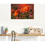 Artland Wandbild »Rote Mohnblumen in der Provence«, Blumenbilder, (1 St.), als Leinwandbild, Poster in verschied. Größen