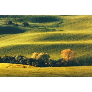 Papermoon Fototapete »Landschaft mit Bäumen«