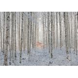 Papermoon Fototapete »Photo-Art HAN DONG HEE, WEISS«