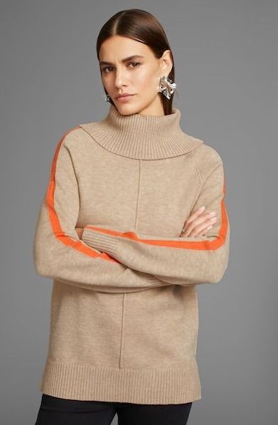 HECHTER PARIS Rollkragenpullover, mit Kontrastdetails