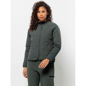 Jack Wolfskin Steppjacke »WANDERMOOD INS JKT W«