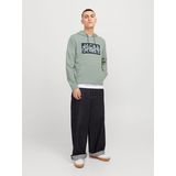 Jack & Jones Kapuzensweatshirt »JJCOLTON SWEAT HOOD«