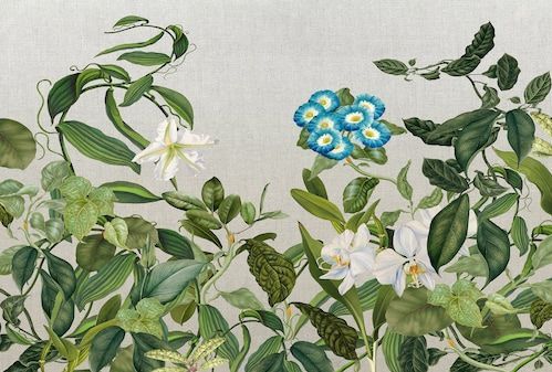 Architects Paper Fototapete »Atelier 47 Botanic Sketch 1«, floral, Vlies, Wand, Schräge, Decke