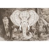 Architects Paper Fototapete »Atelier 47 Elephant Head 1«, orientalisch, Vlies, Wand, Schräge, Decke