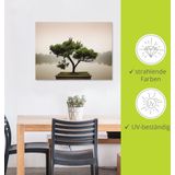 Artland Wandbild »Chinesischer Bonsaibaum«, Bäume, (1 St.), als Alubild, Outdoorbild, Leinwandbild, Poster, Wandaufkleber