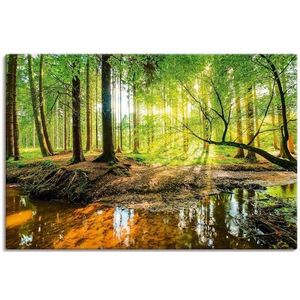Artland Wandbild »Wald mit Bach«, Wald, (1 St.), als Alubild, Outdoorbild, Leinwandbild, Poster, Wandaufkleber