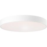 Brilliant Deckenleuchte »Slimline«, 1 flammig, Leuchtmittel LED-Modul  LED fest integriert, LED 49cm sand/weiß