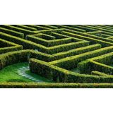 Papermoon Fototapete »Labyrinthgarten«