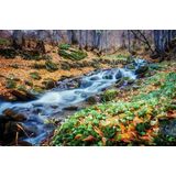 Papermoon Fototapete »Fluss im Wald«