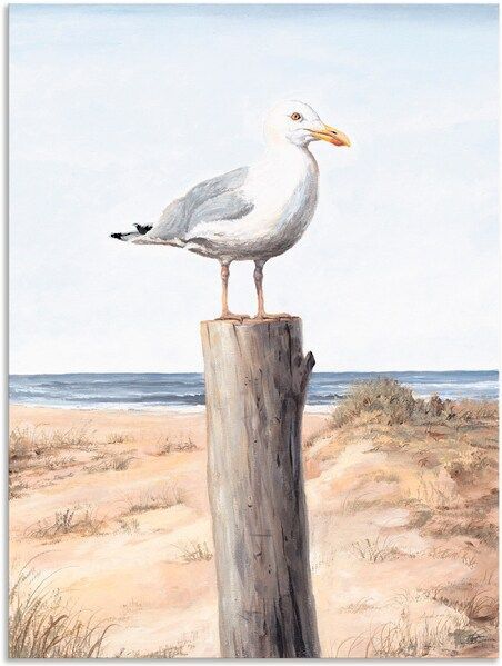 Artland Wandbild »Möwe«, Vögel, (1 St.), als Alubild, Outdoorbild, Leinwandbild, Poster, Wandaufkleber