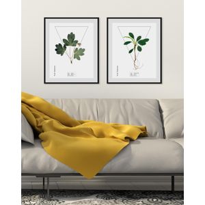 queence Bild »Aquilegia«, Schriftzüge-Pflanzen-Pflanzenbilder, (1 St.), HD Premium Poster-Druck inkl. Holzrahmen