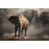 Papermoon Fototapete »Photo-Art CHARLAINE GERBER, ELEFANT TRINKWASSER«