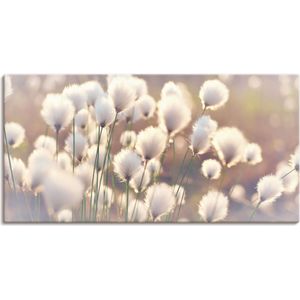 Artland Wandbild »Wollgraszauber im Moor«, Gräser, (1 St.), als Alubild, Outdoorbild, Leinwandbild, Poster, Wandaufkleber