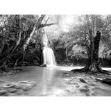 Papermoon Fototapete »Wasserfall im Wald Schwarz & Weiß«