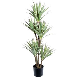 Creativ green Künstliche Zimmerpflanze »Agave«