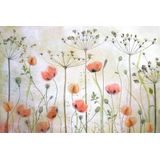 Papermoon Fototapete »Photo-Art MANDY DISHER, MOHNWIESE«