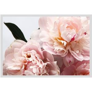 queence Bild »Runa«, Blumen, Rosen, gerahmt