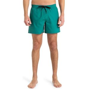 Quiksilver Badeshorts »EVERYDAY VOLLEY 15«, (1 St.)