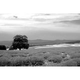 Papermoon Fototapete »Landschaft schwarz & weiß«