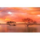 Papermoon Fototapete »MANGROVE-BÄUME WOLKEN GEBIRGE KÜSTE BLUMEN SONNE WALD«