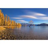Papermoon Fototapete »Photo-Art HUA ZHU, HERBST IM SEE WANAKA«