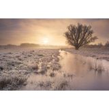 Papermoon Fototapete »Winterlandschaft«