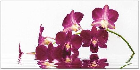 Artland Küchenrückwand »Phalaenopsis Orchidee«, (1 tlg.), Alu Spritzschutz mit Klebeband, einfache Montage